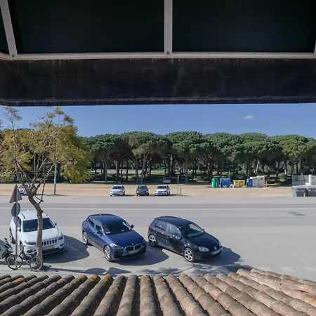 Avenida Conil De La Frontera