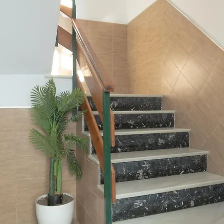 Avenida בית הארחה 3*