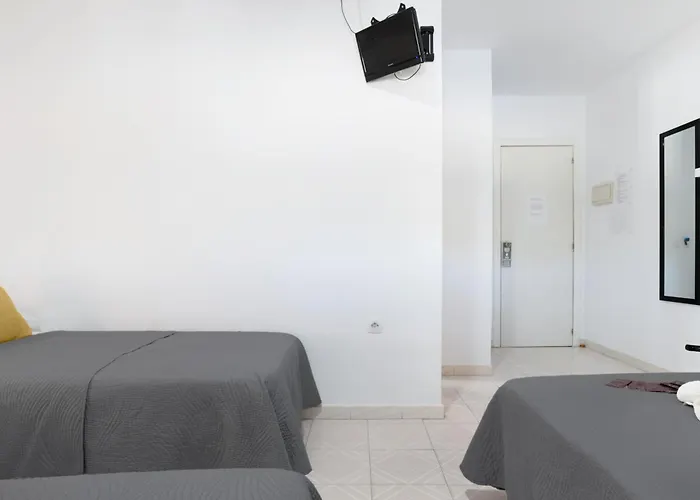 Avenida 科尼尔-德拉弗龙特拉