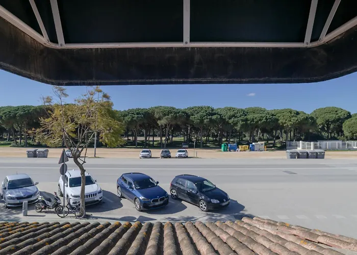 Avenida Conil De La Frontera